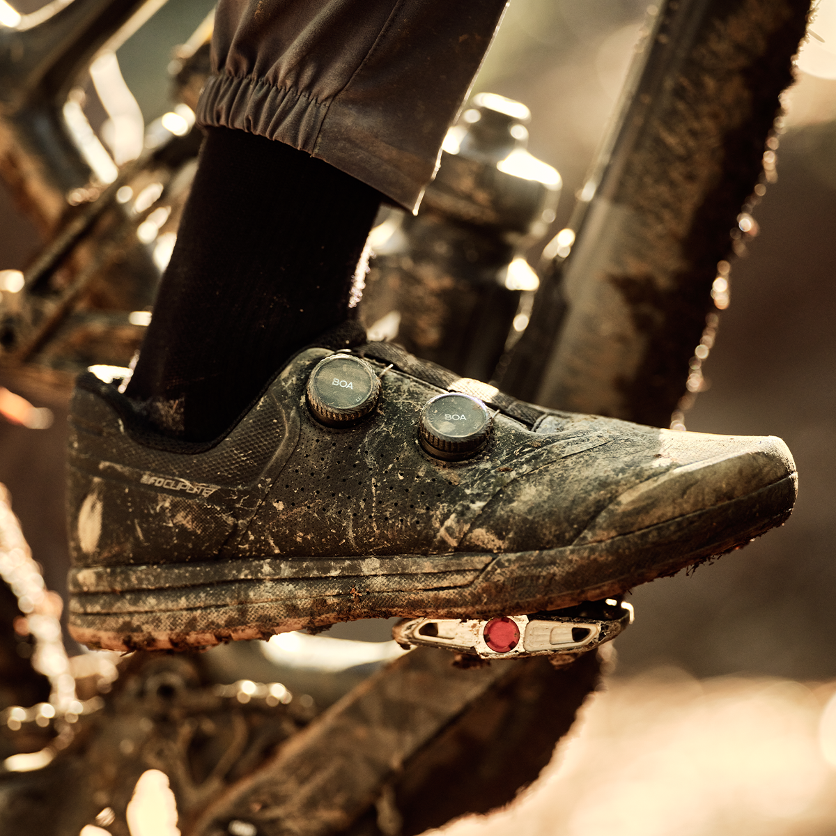 Boa_Kohlman_MTB-Winter-22_0638.png