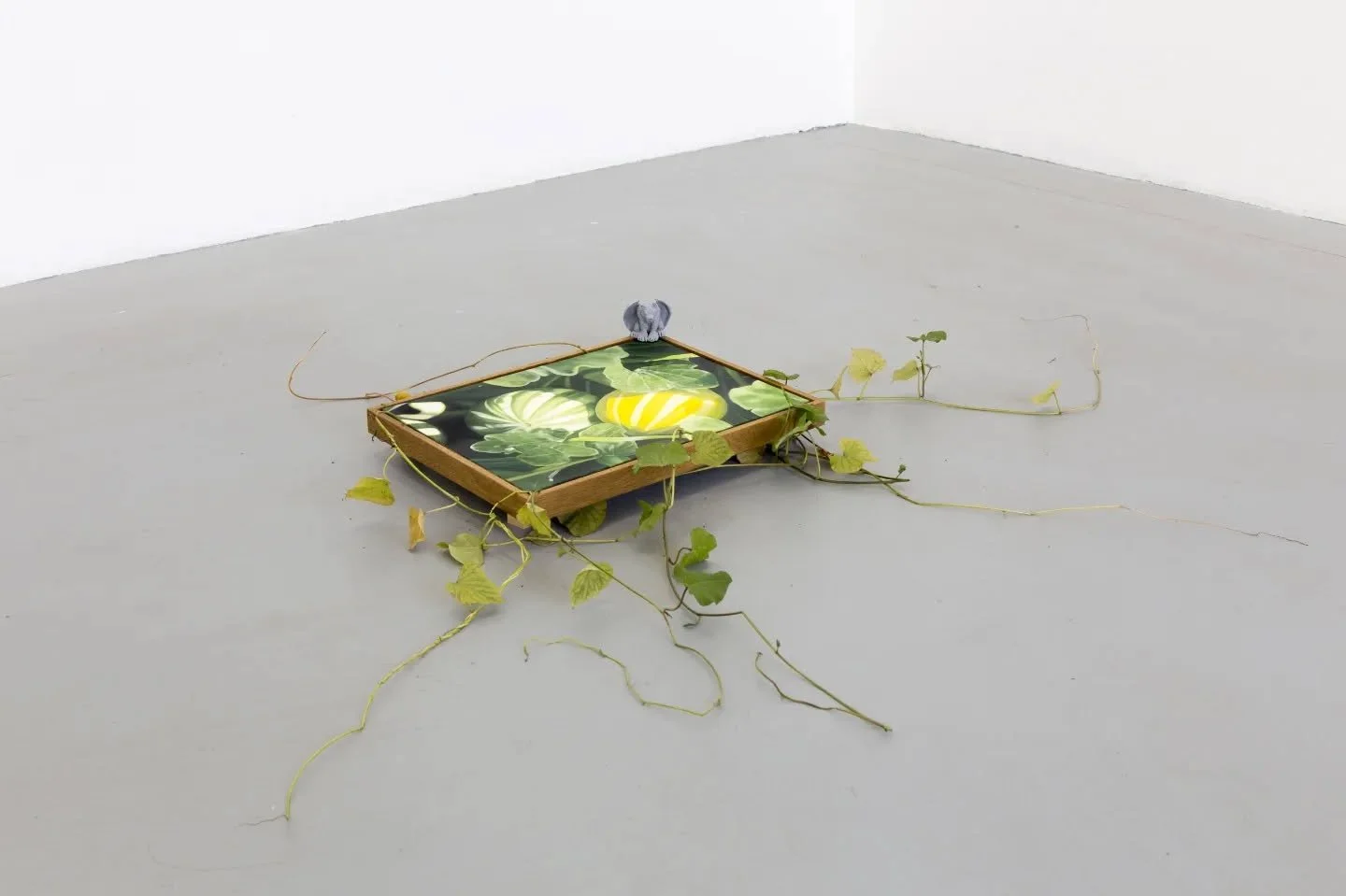 'Gargoyle' @vcaartspace by us:

@zamarapresents 
@rosie.red27 
@pop_rocky 
@ann_debono 
@na0ise 
@niche_fetisch 

Exhibition text written by big brain, big heart: Maggie Brink.

Photographic documentation by Panisa Ongwat @nina_panisa