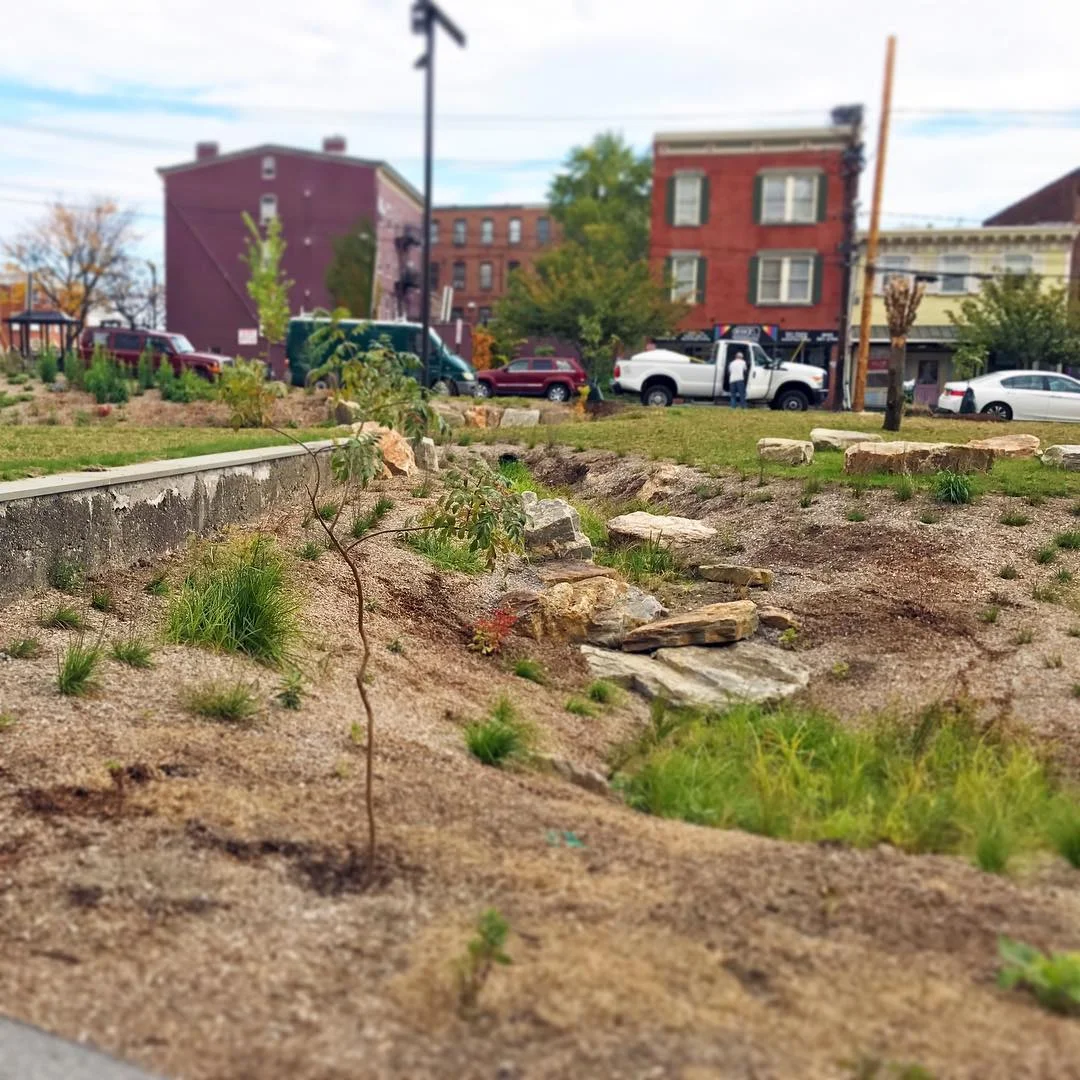 A central swale in the park, shown here before plant maturity, harvests water from upland areas to create a modest waterfall during major rainfall events.