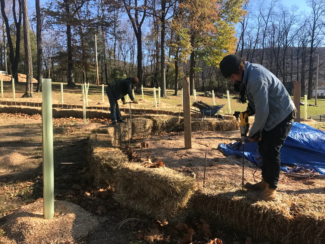 Installing the live stakes
