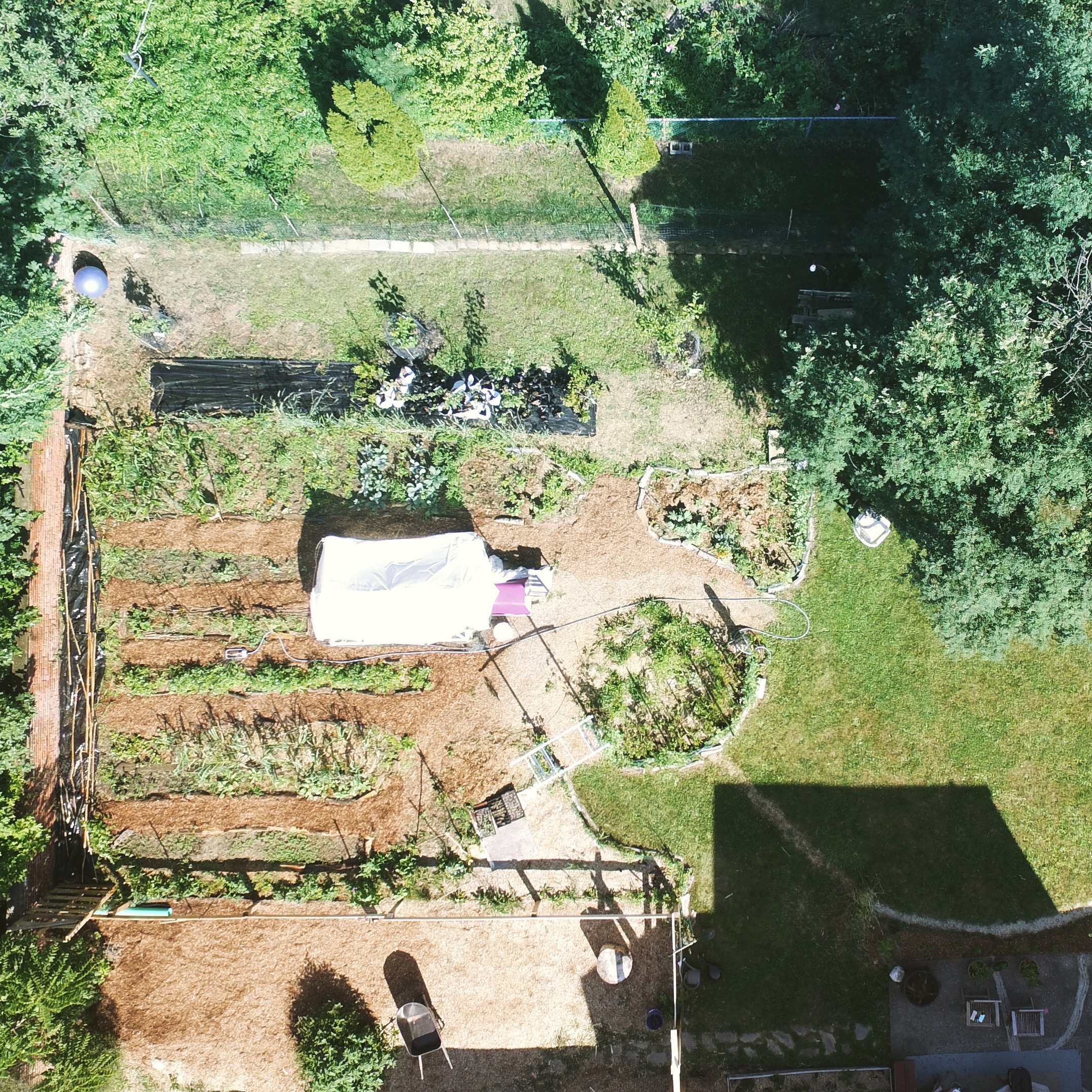 2016 - Overhead view of vegetable garden area