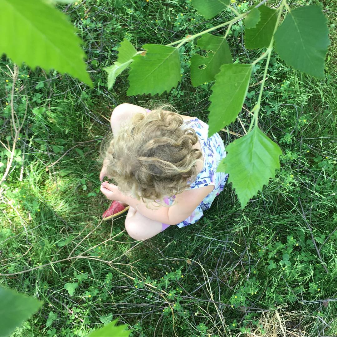 2018 - Lawn Nest