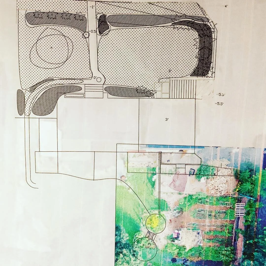 1nature_49308641_1081540178720383_8562900733065932800_n (1).jpg