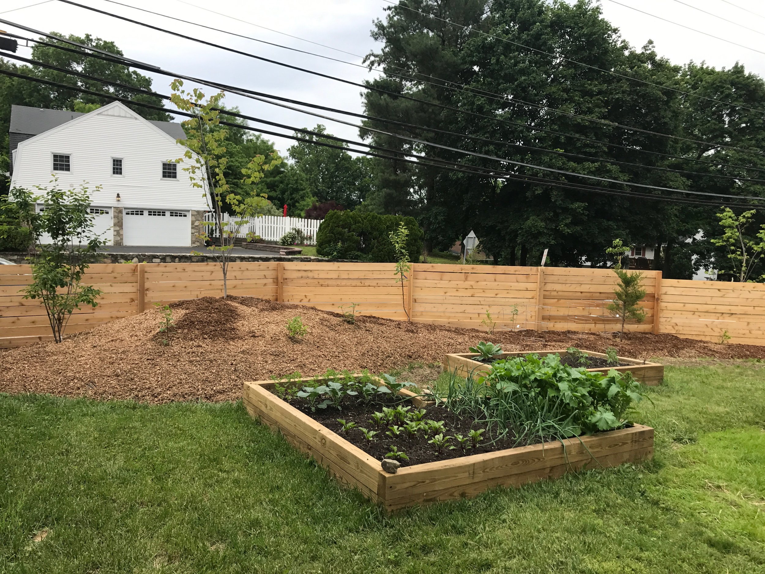 Finished plantings inside of fence