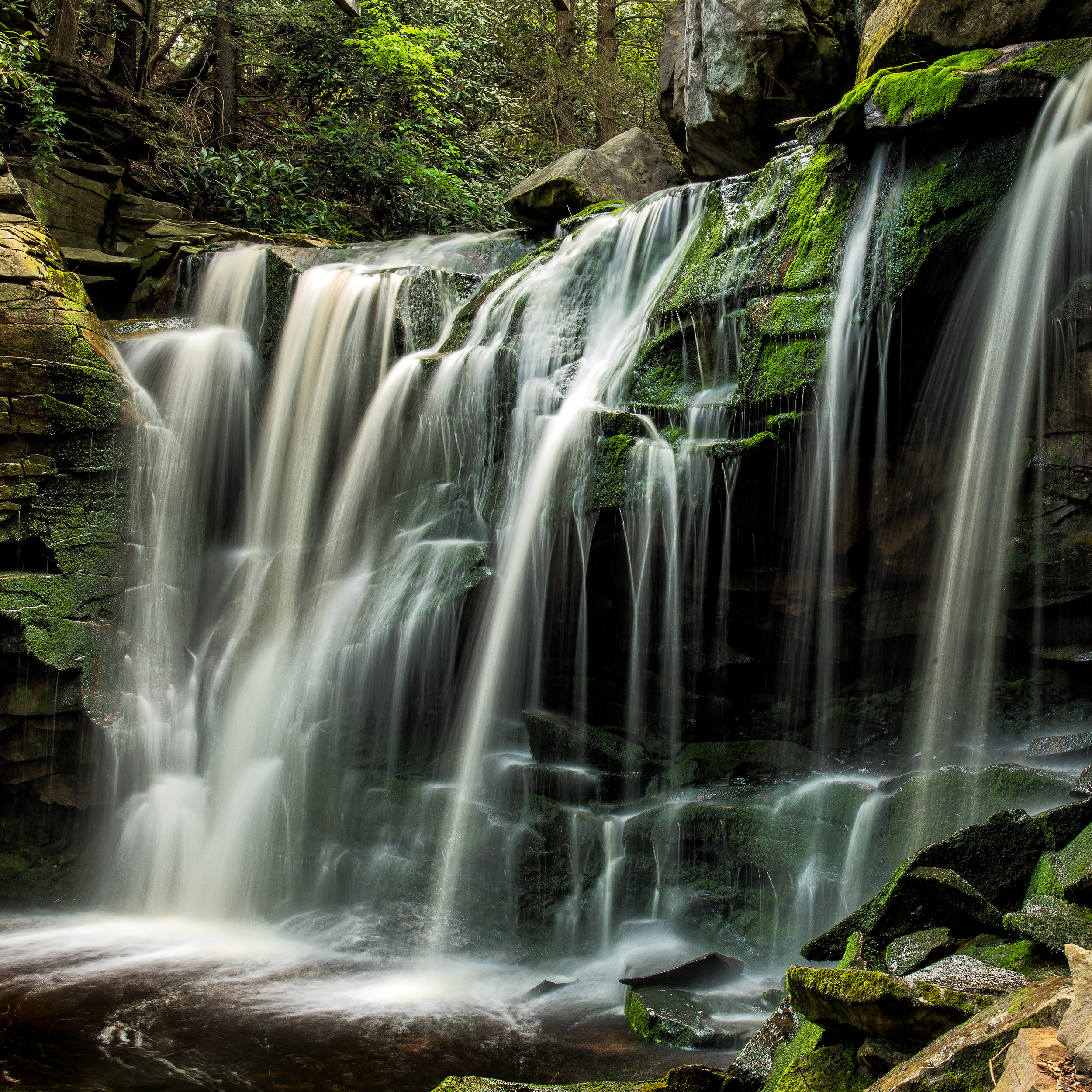 Elakala Falls II