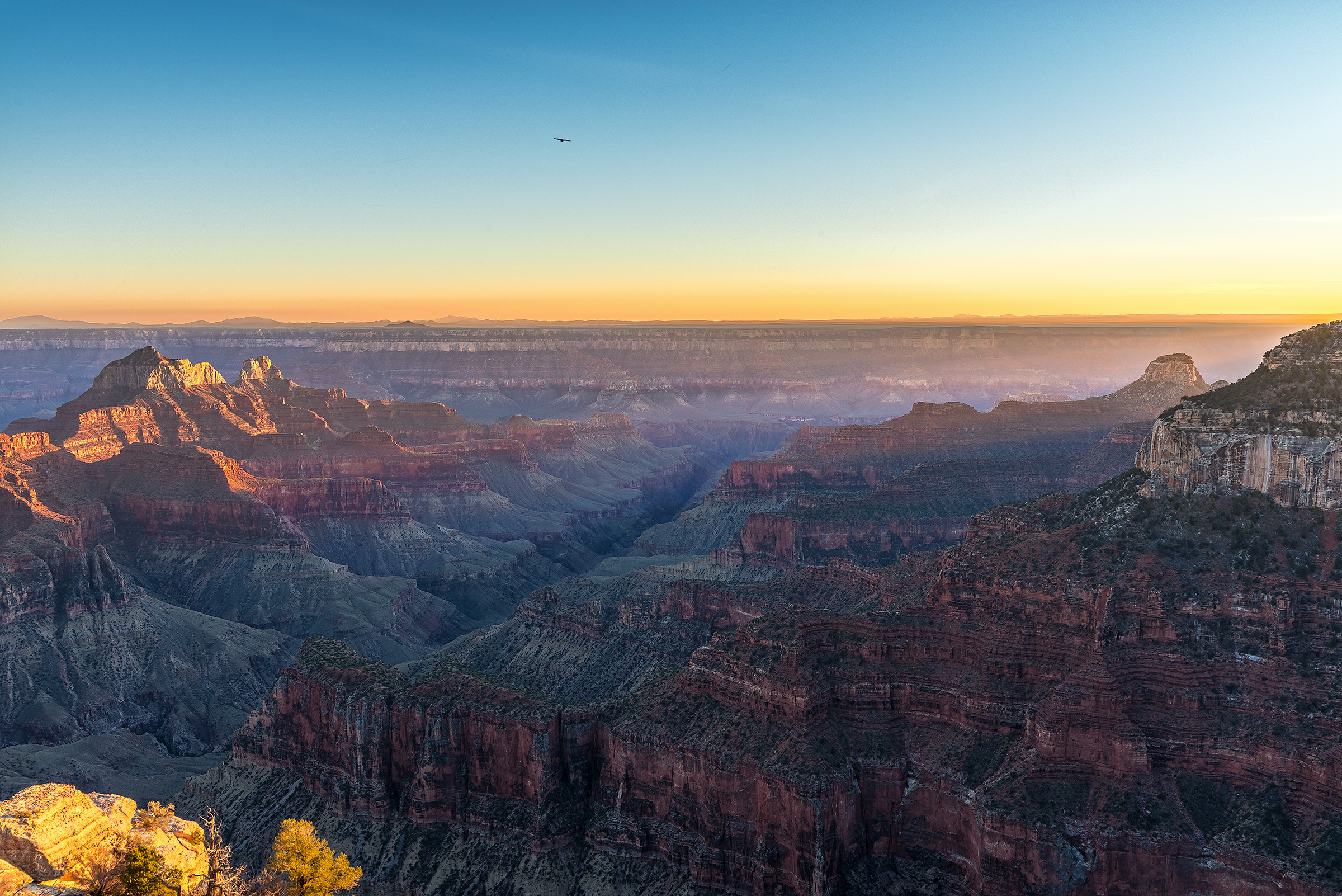 Bright Angel Point