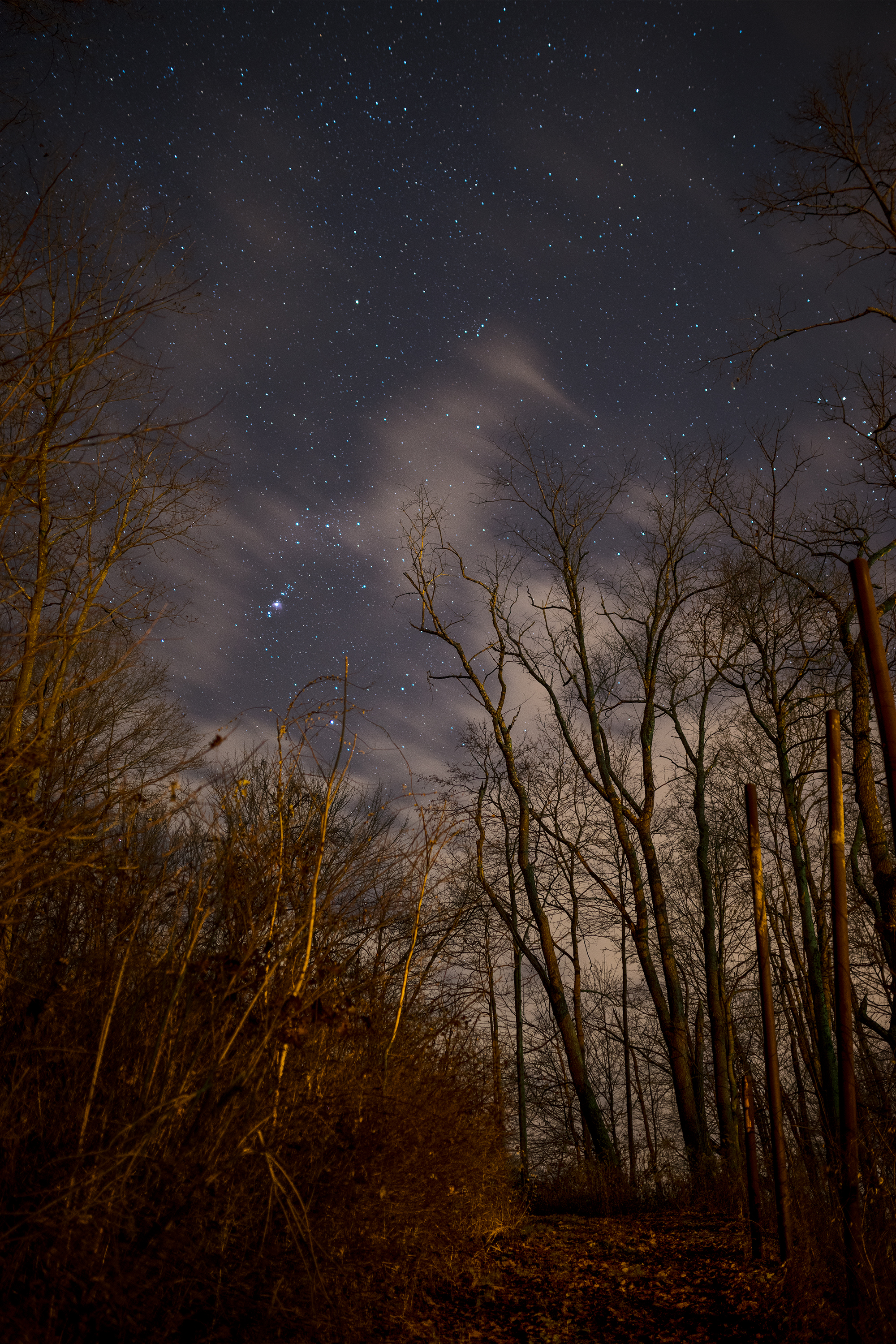 the trail