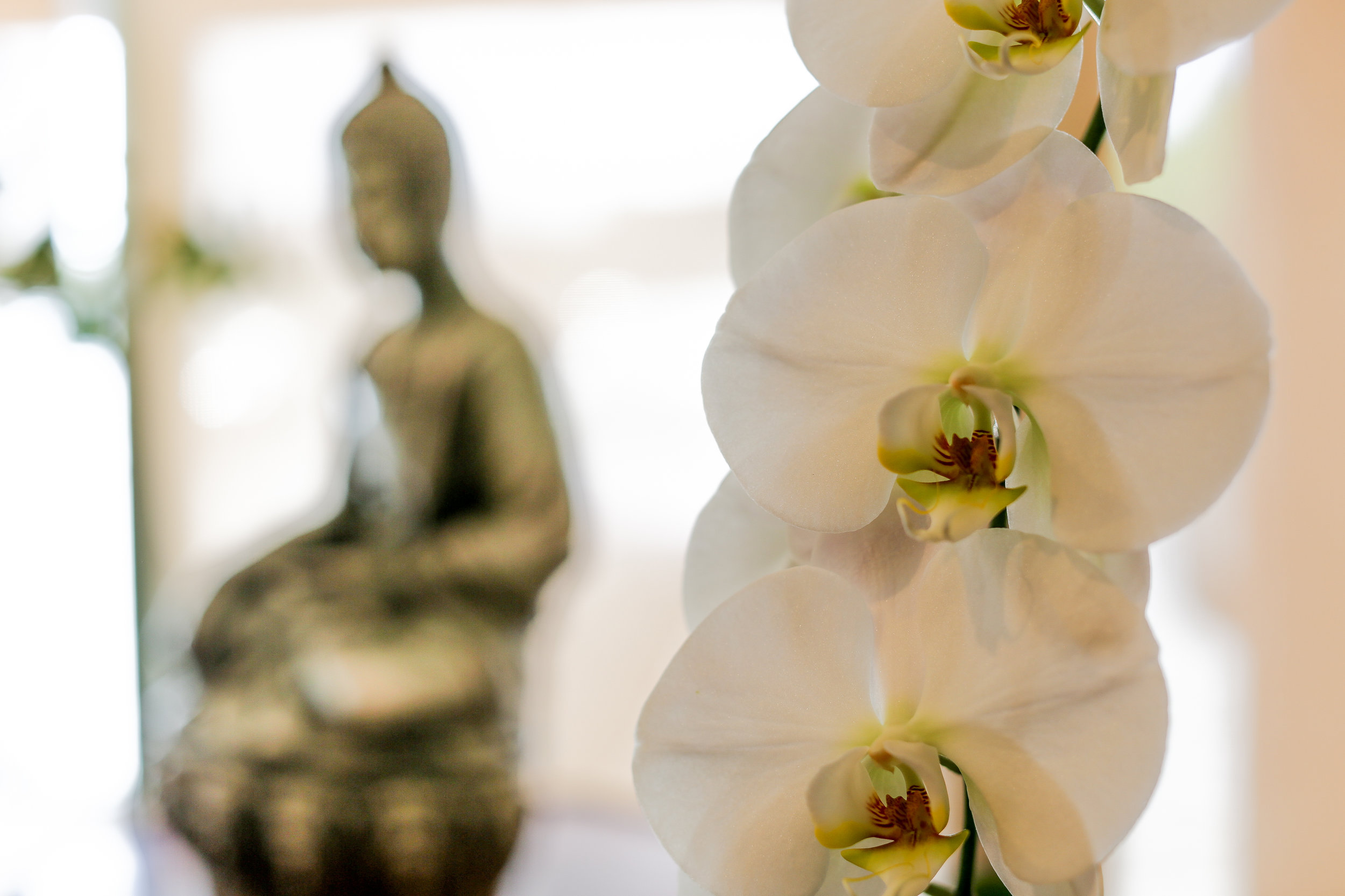 A Center For Natural Healing-108.jpg