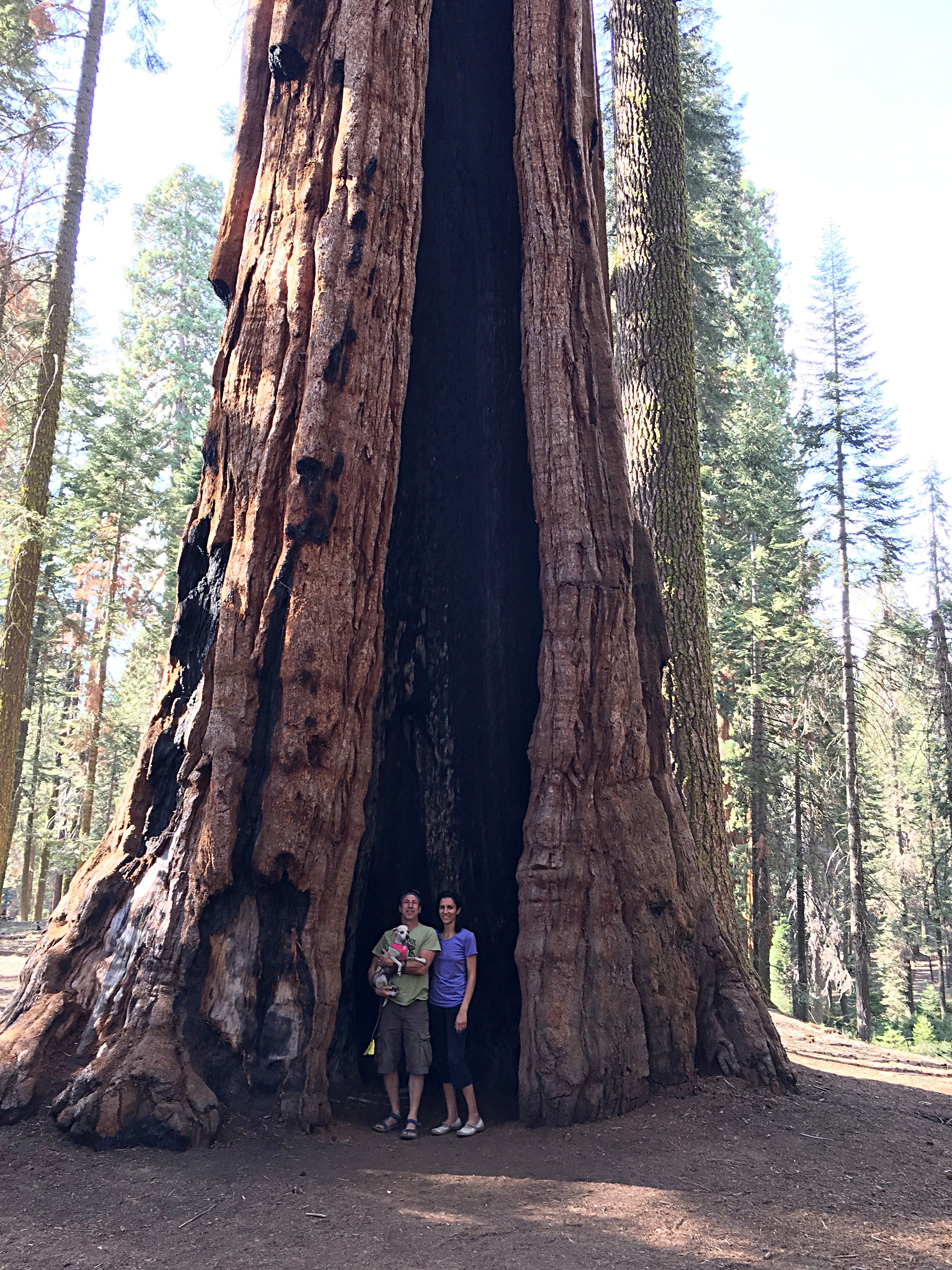 The Transformational Power of Fire in Nature and in the Body 