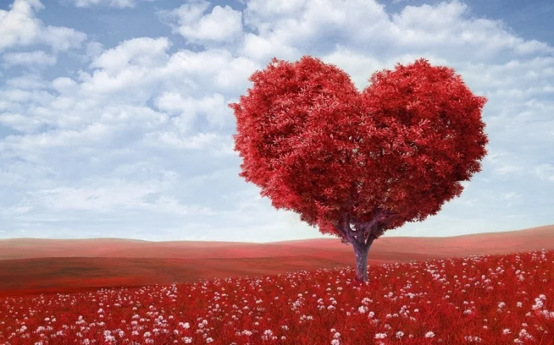 The Greatest Form of Love