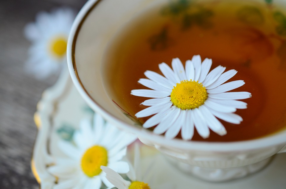 Chamomile is a flower that can be dried and steeped in hot water to make a cooling, calming tea.
