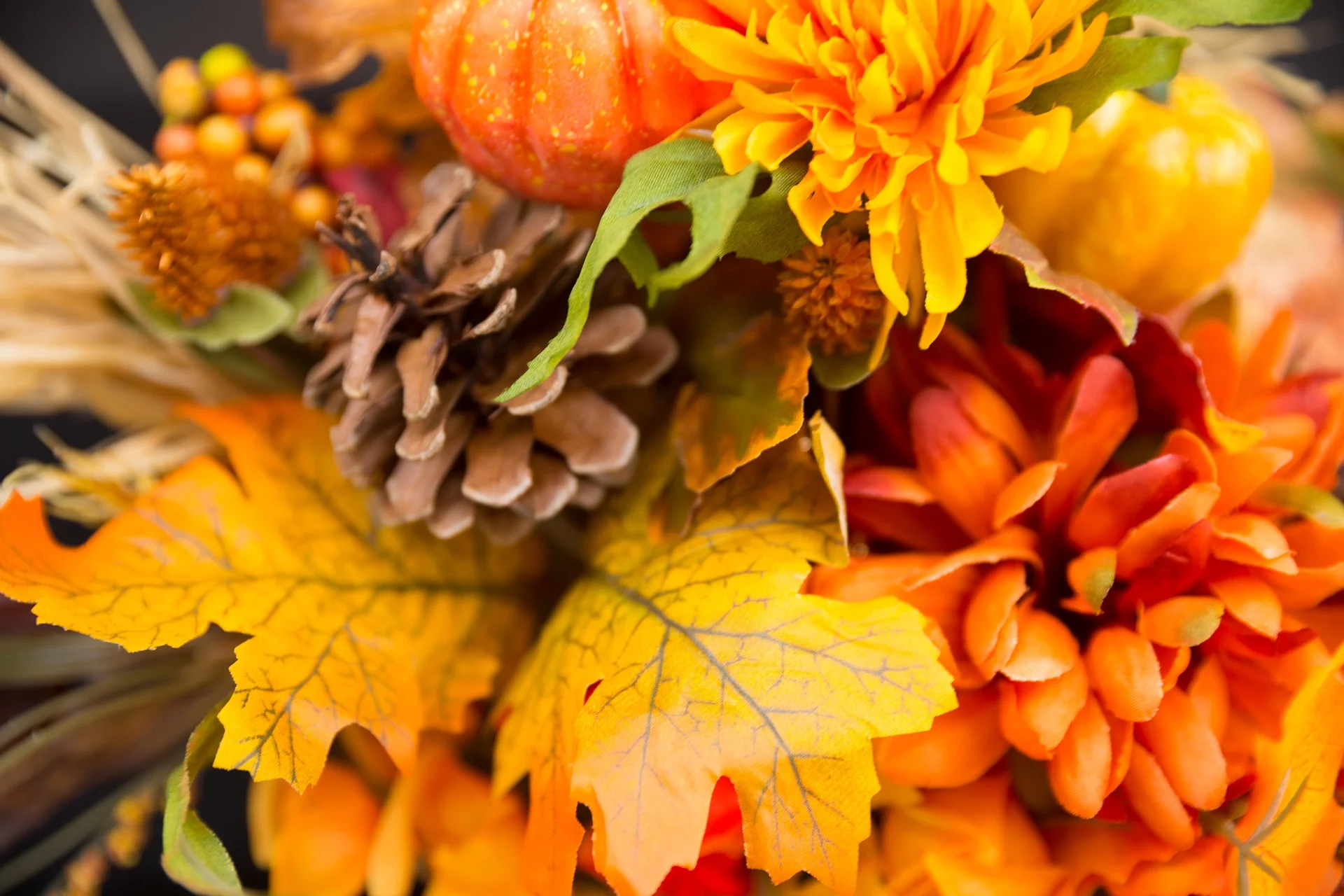 Transform into the Fall (and any) Season
