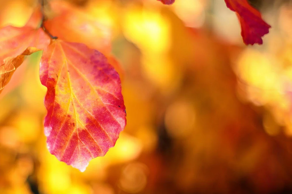 Why It's So Hard to Let Go, and What You Can Do to Make it Easier