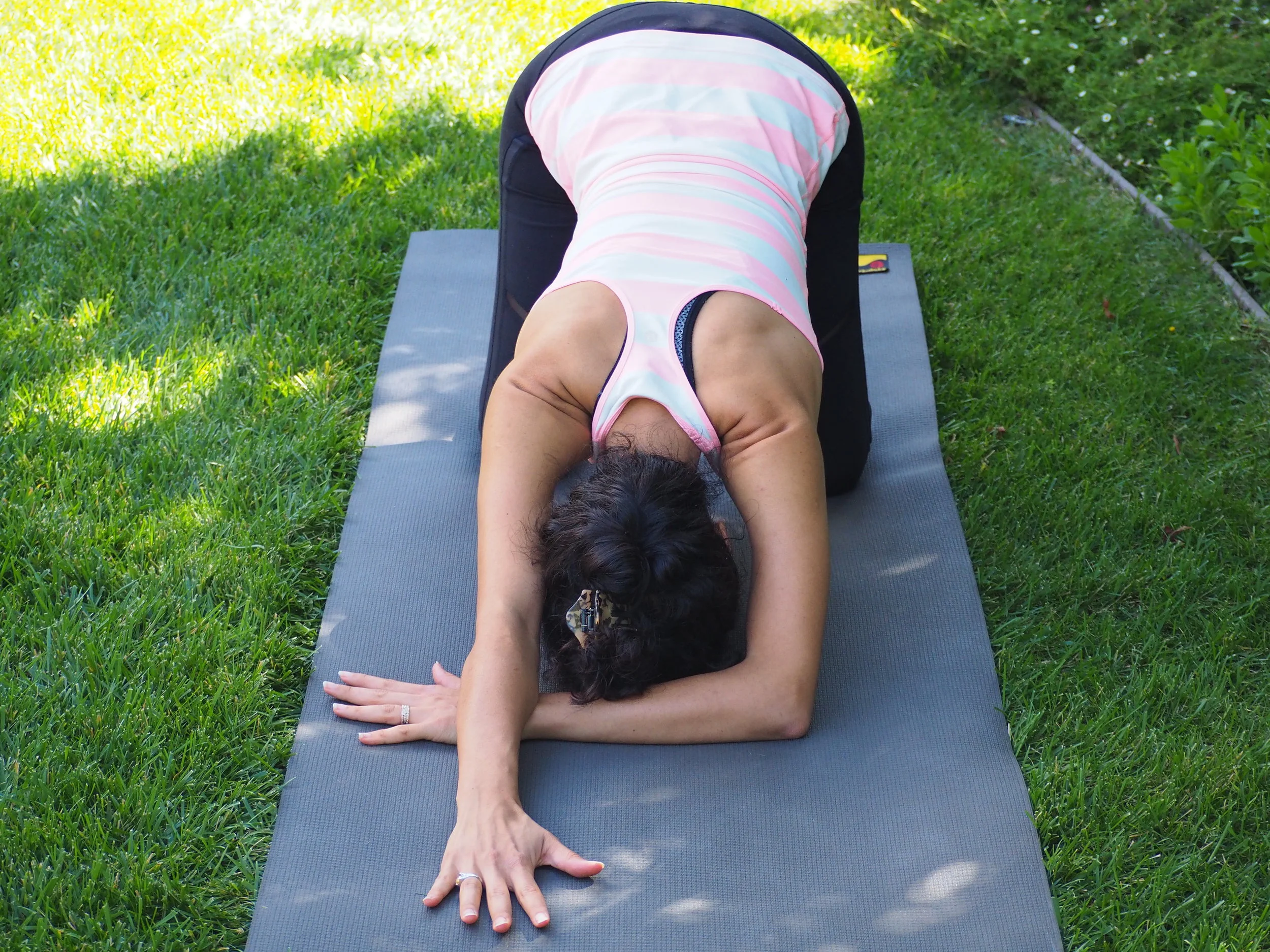 Quarter Dog front view.JPG