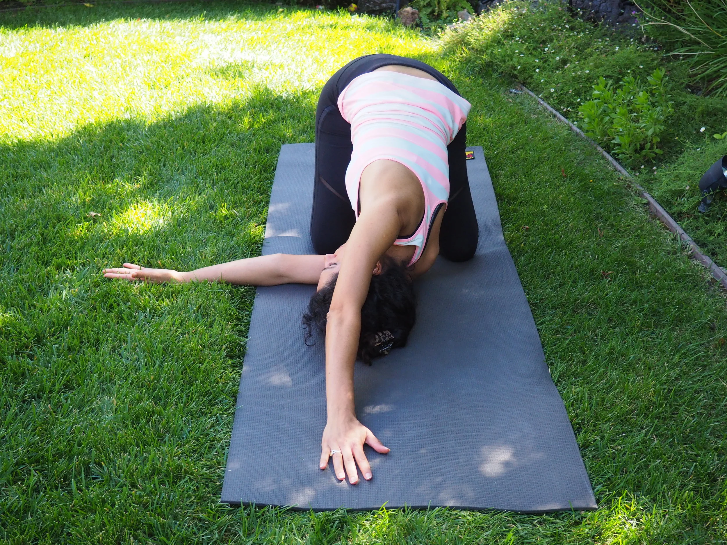 Quarter Dog with Twist