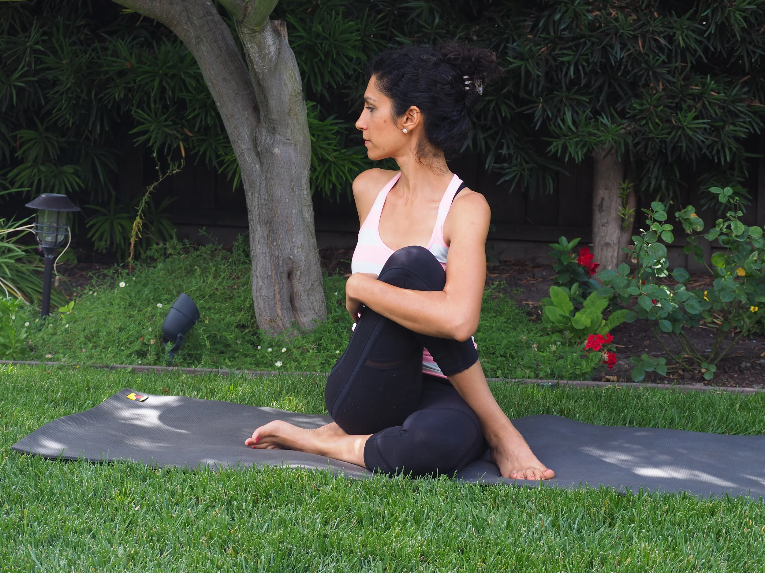 Seated Spinal Twist
