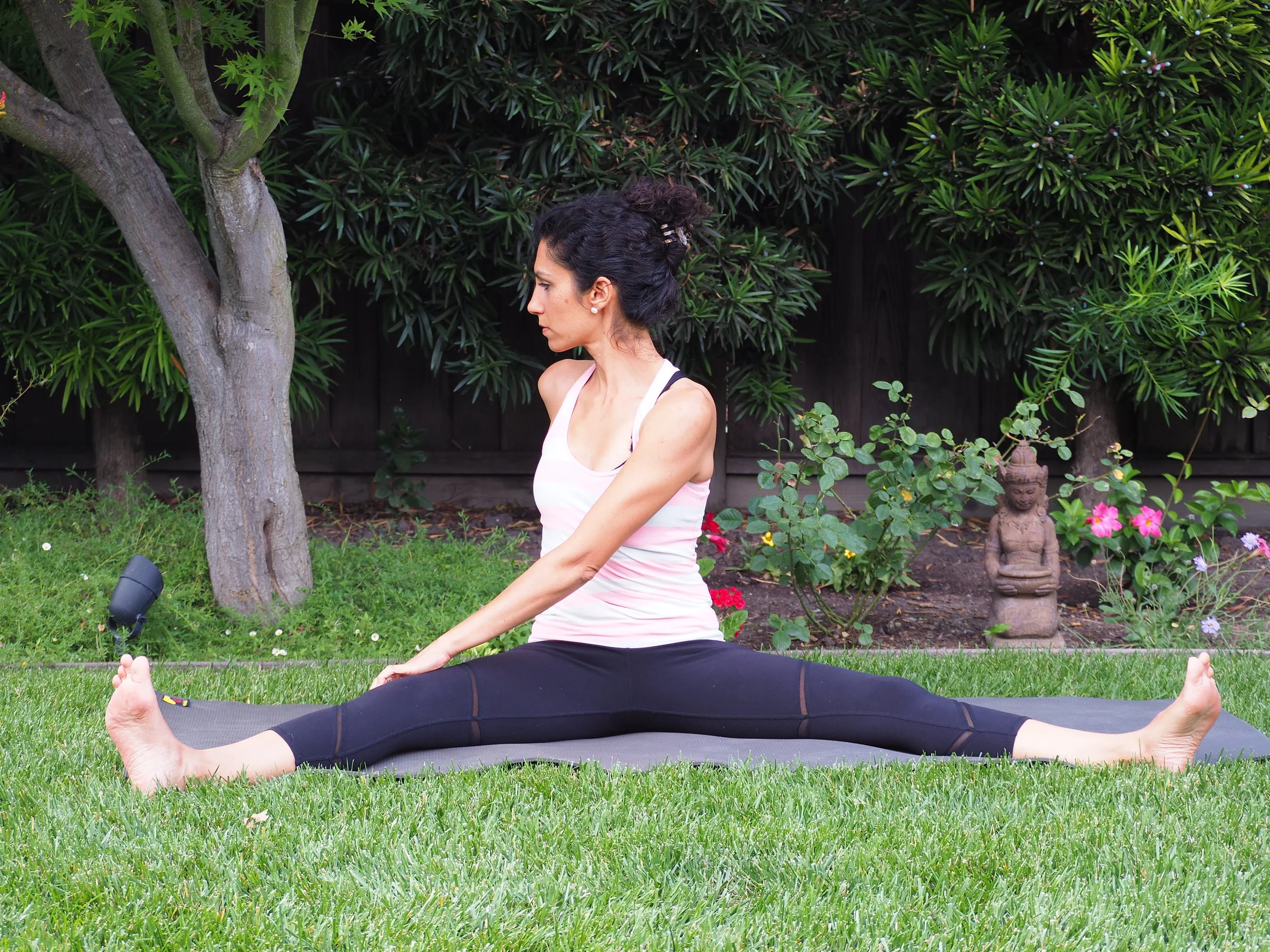 Dragonfly with Twist to right.JPG