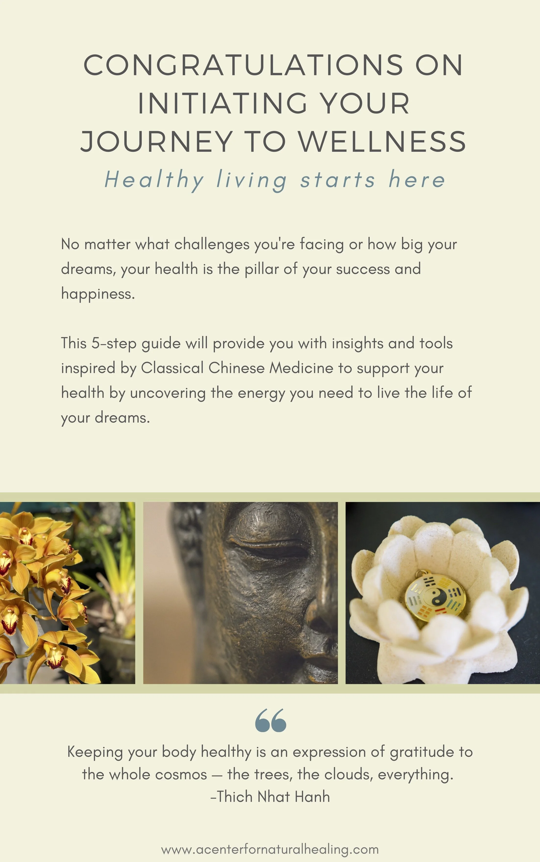 5 Step Guide to Fatigue Relief 2.jpg