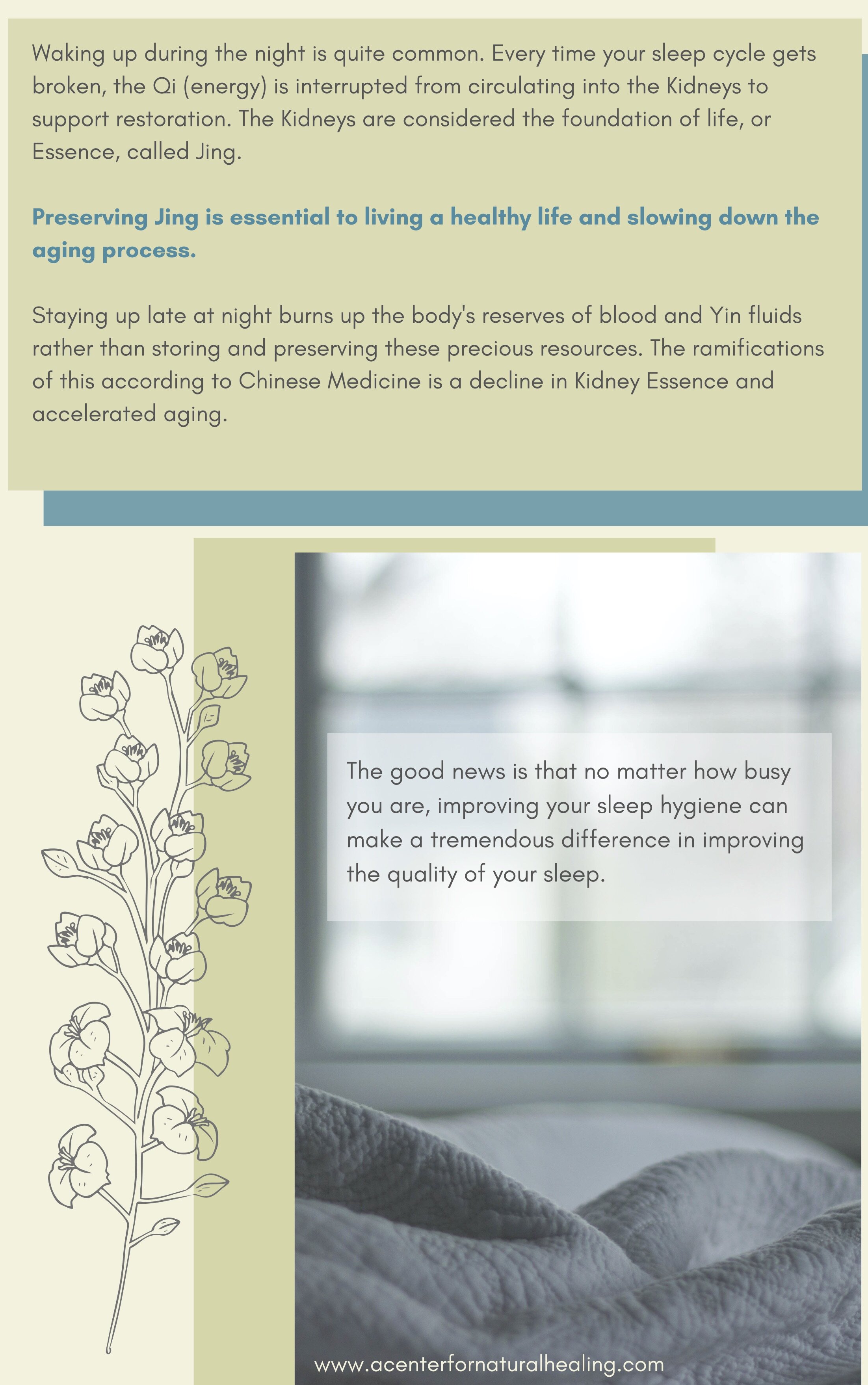 5 Step Guide to Fatigue Relief 4.jpg