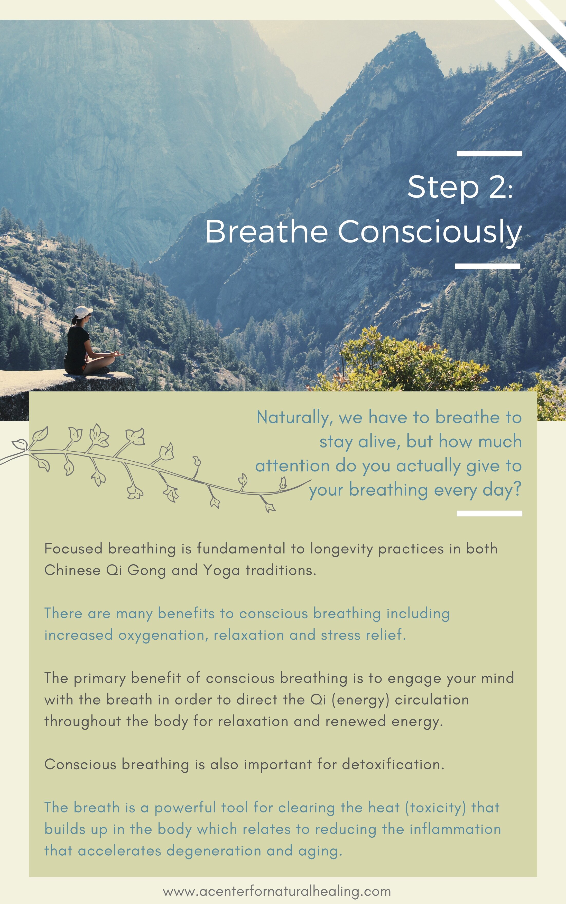 5 Step Guide to Fatigue Relief 6.jpg