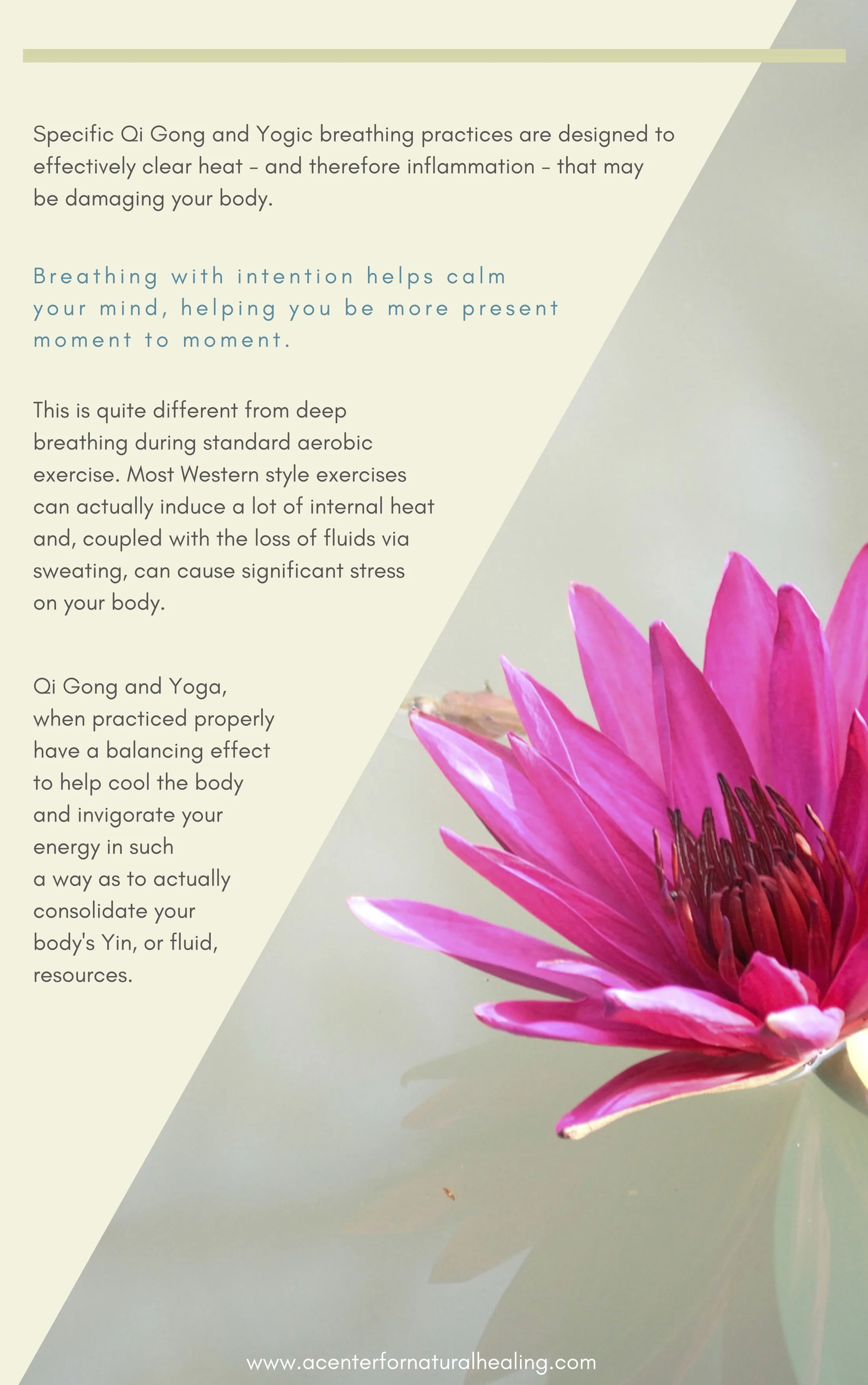 5 Step Guide to Fatigue Relief 7.jpg