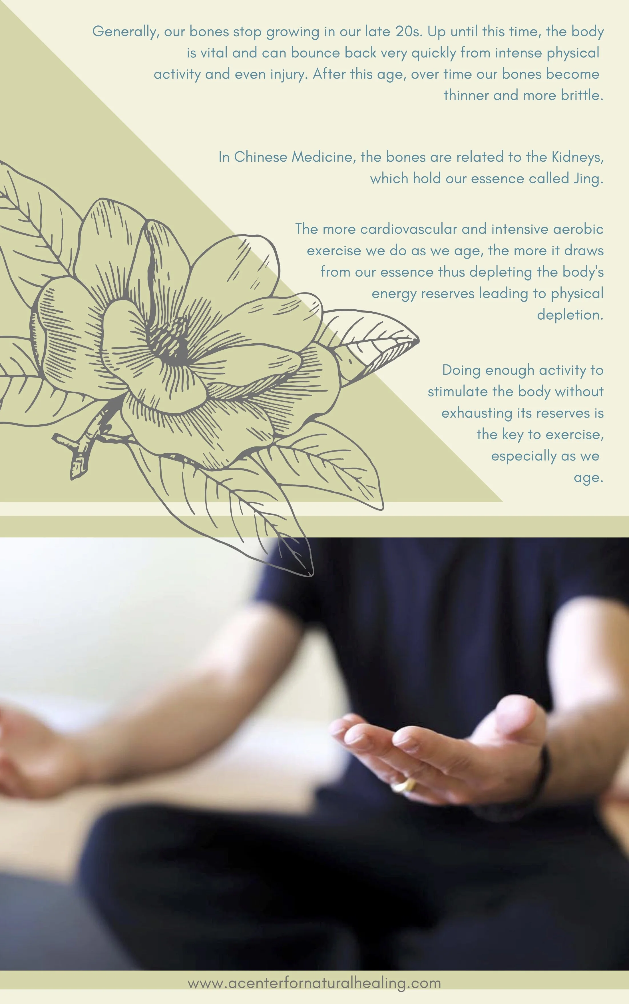 5 Step Guide to Fatigue Relief 14.jpg