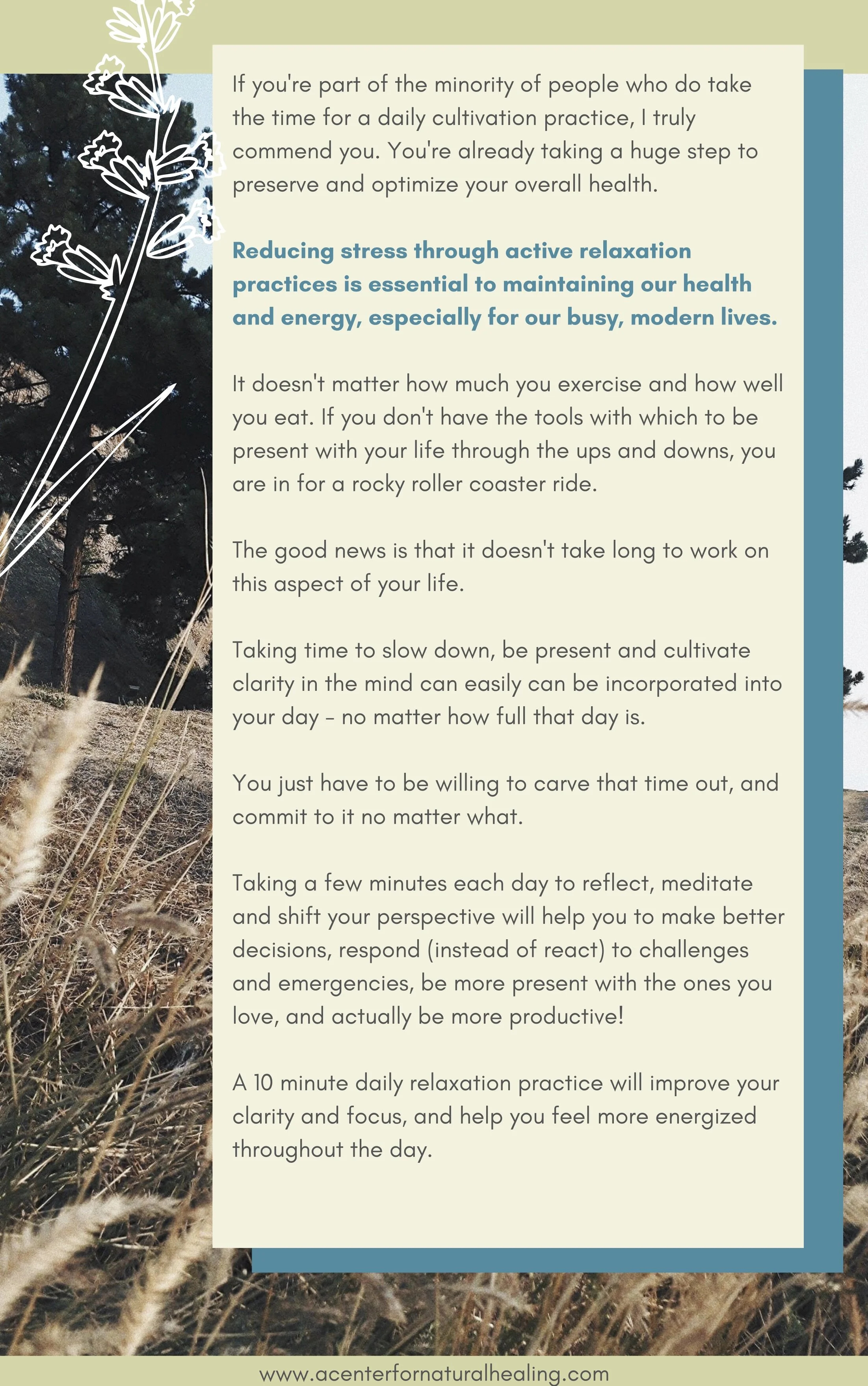 5 Step Guide to Fatigue Relief 17.jpg