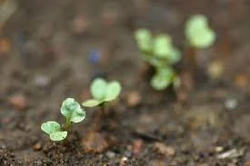 (Episode 42) 3 Strategies to Find Your Center in Trying Times