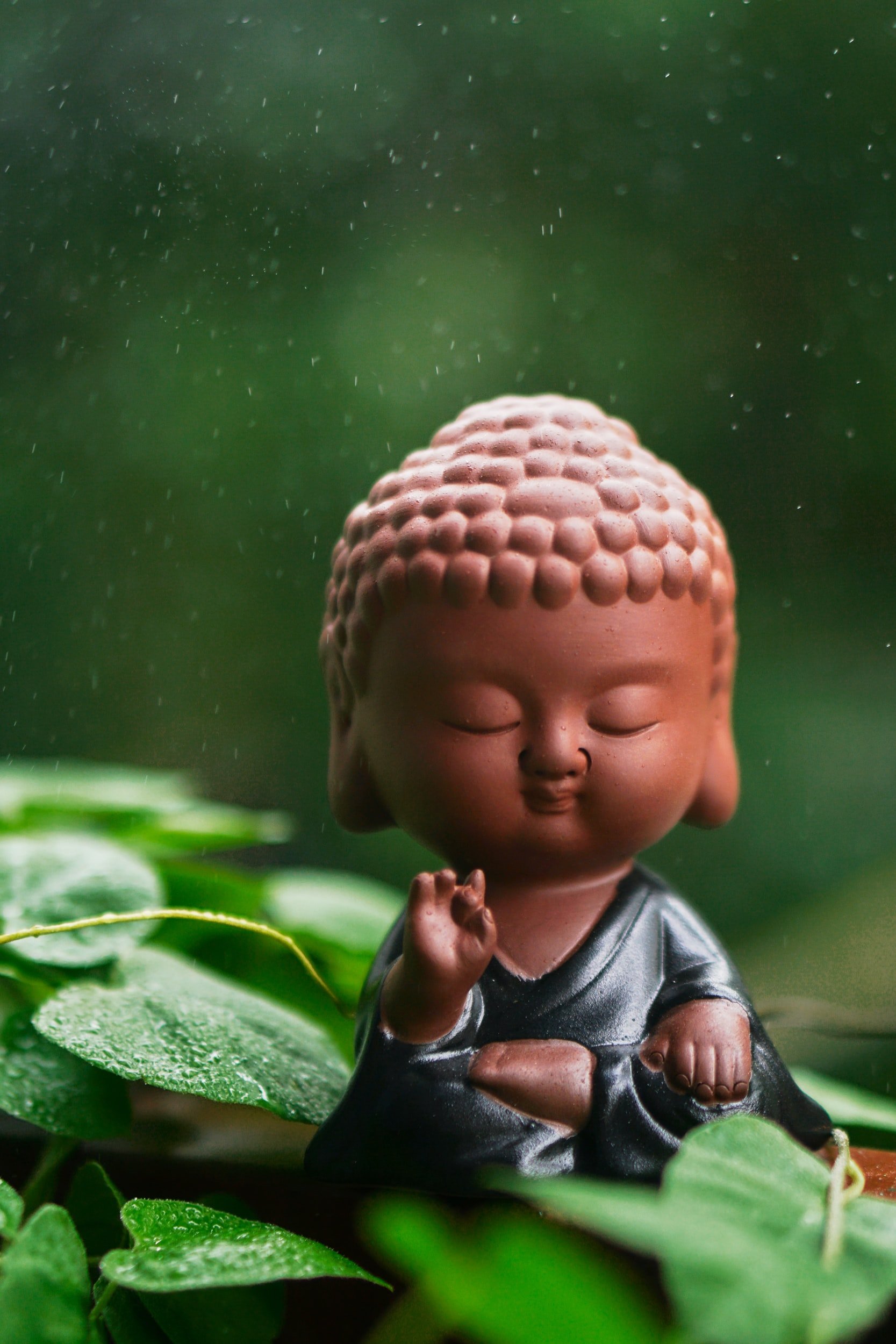 The Fire and Water Paths: A Gateway to Self-Healing