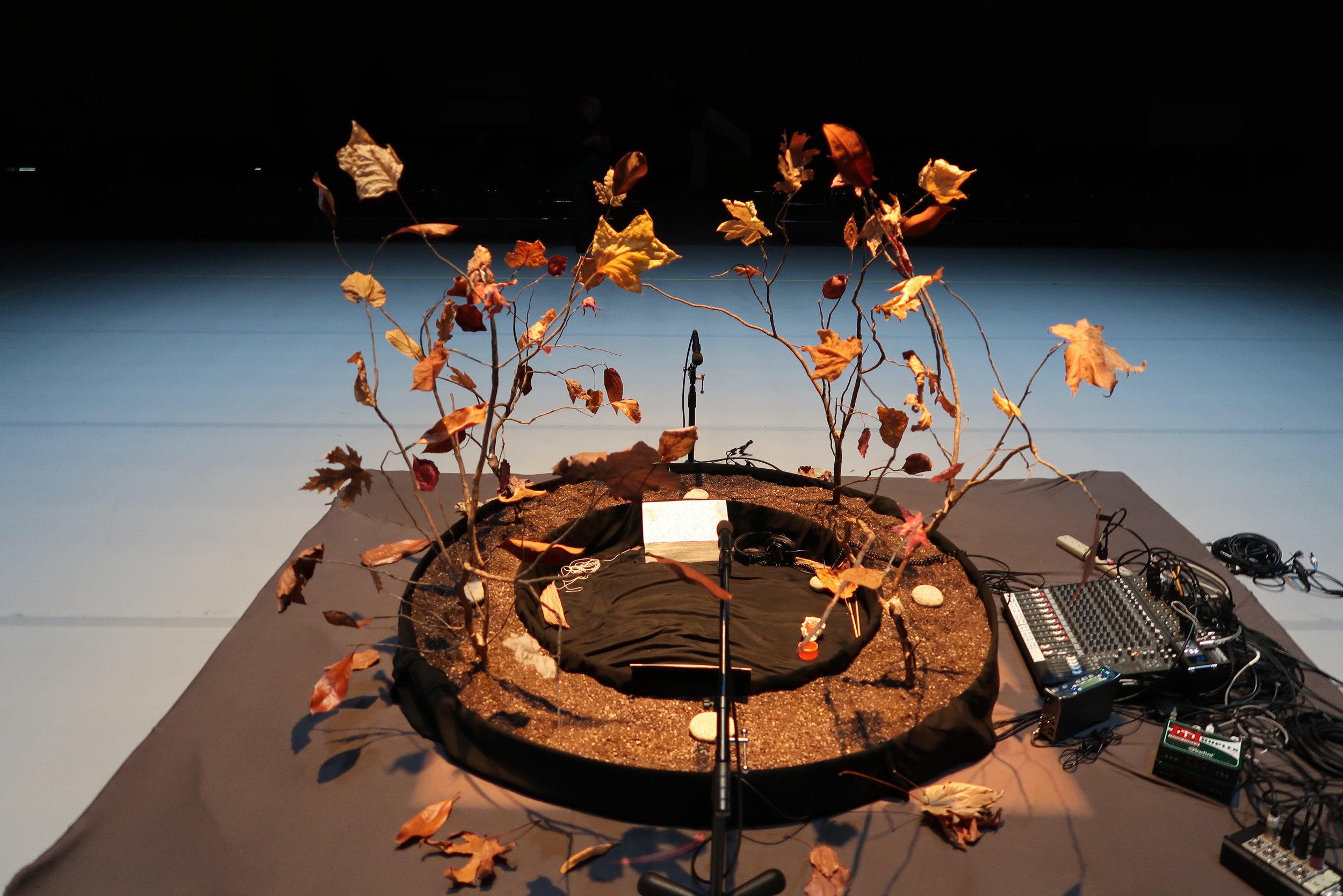 DD, a musical instrument built by Cheryl Leonard for her composition Asterisms. Photo by Cheryl Leonard.