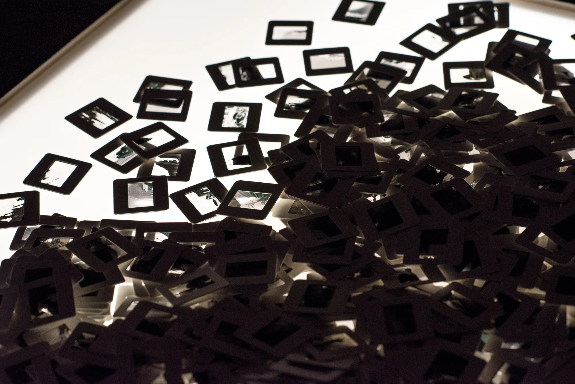 Light box archive, installation, 2017 devised by Julie Tolentino Photo by Hilary Goidell.