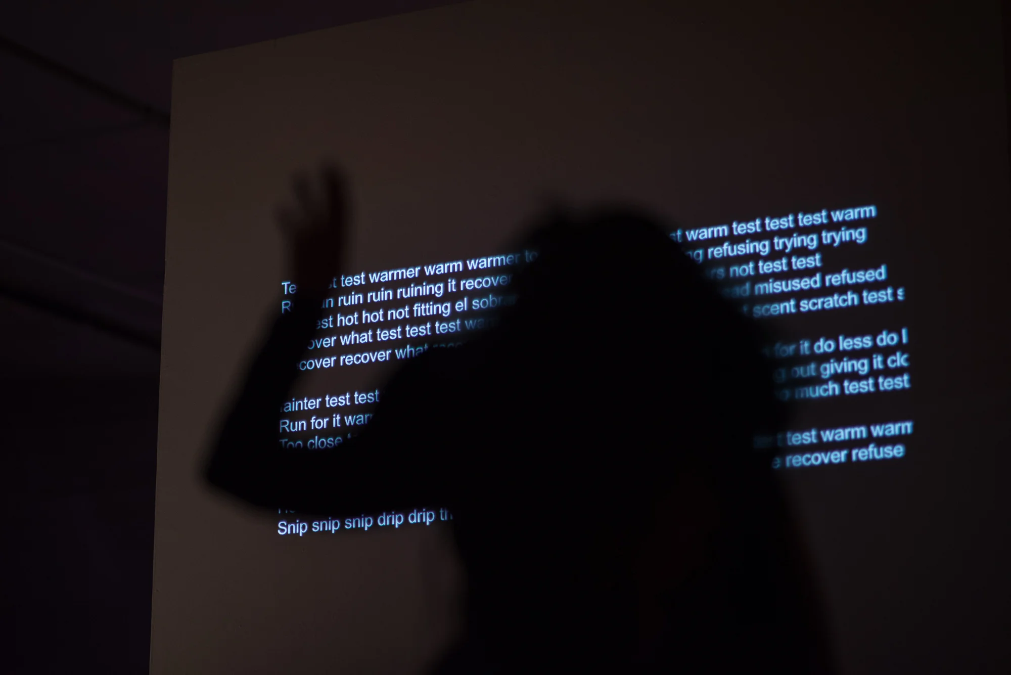 Projected text by Julie Tolentino Photo by Hillary Goidell.