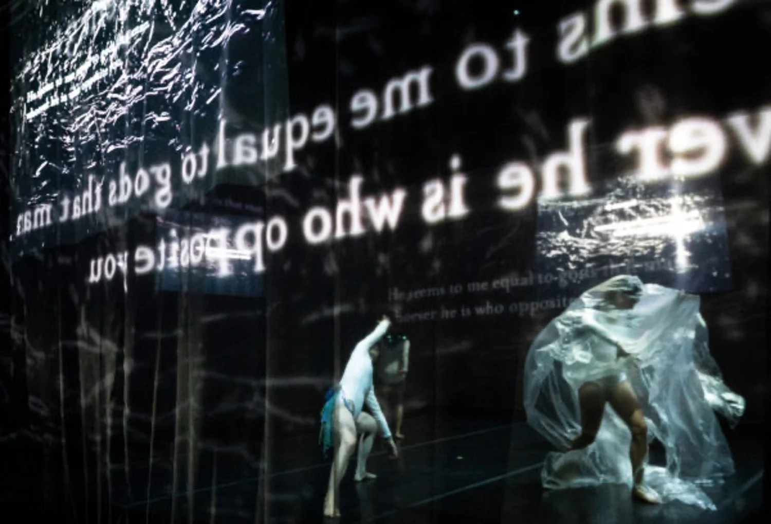 Extreme lyric I (installation performance still).jpeg