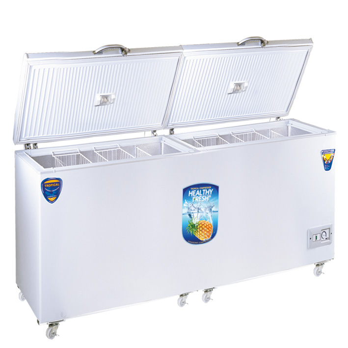 600 L Chest Freezer FC 2200 — Lematic Group