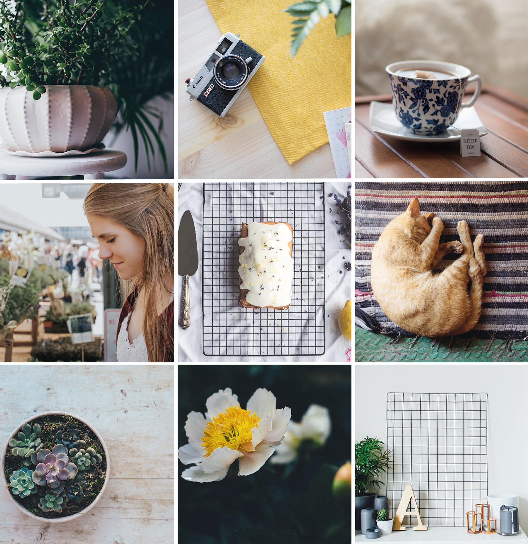 How to Curate Your Instagram Feed — Hue & Tone Creative