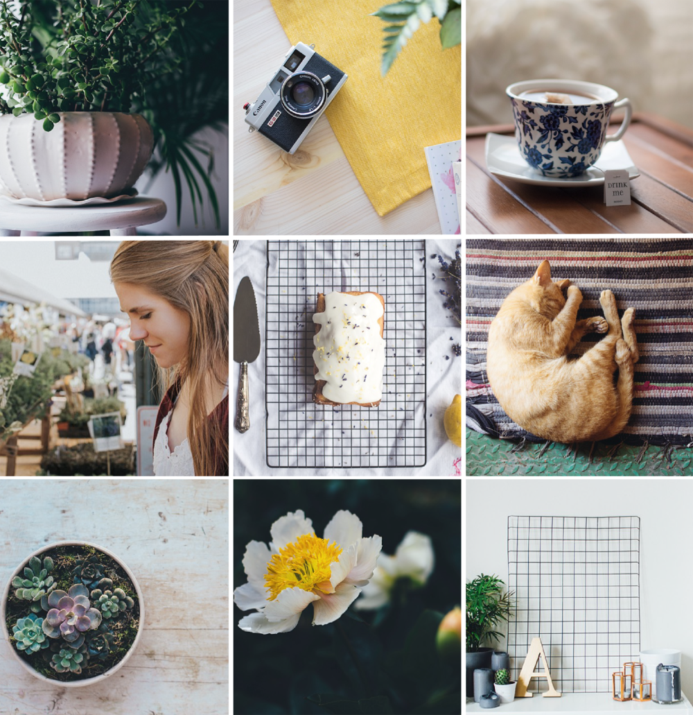 How to Curate Your Instagram Feed