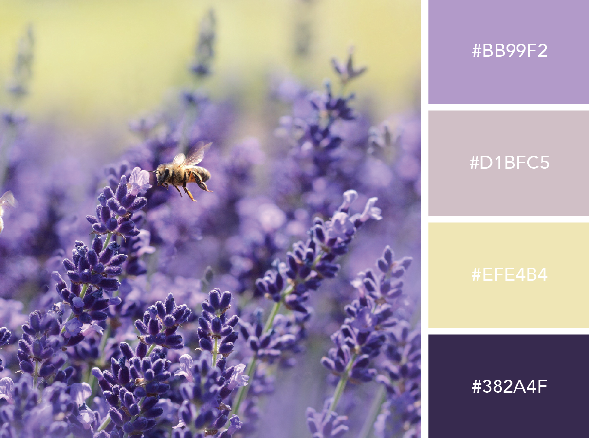 Color Stories: Inspired by Nature