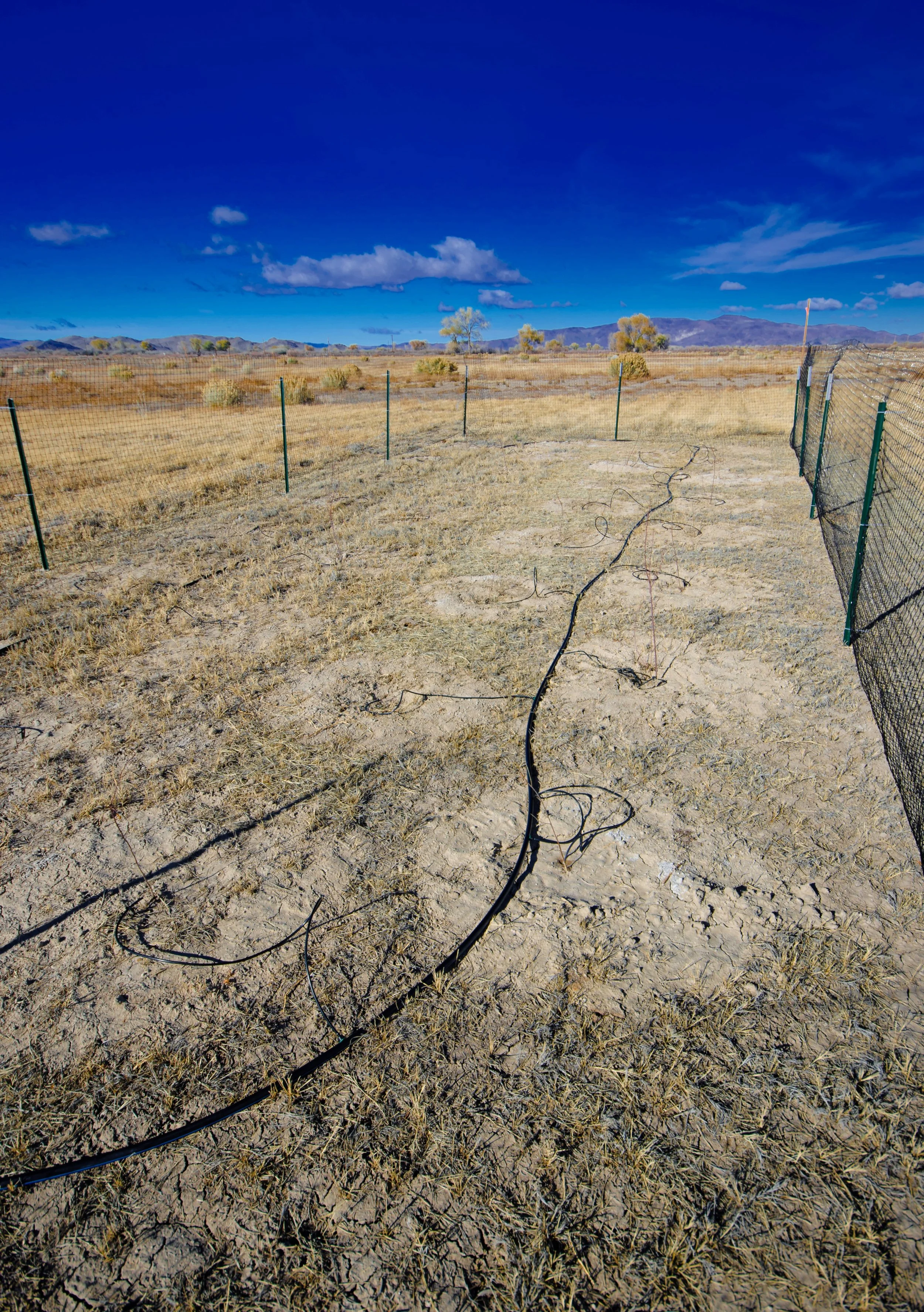 S.Aguiar_pod-enclosure-initial-planting-fall2015b_J.Shedd.jpg