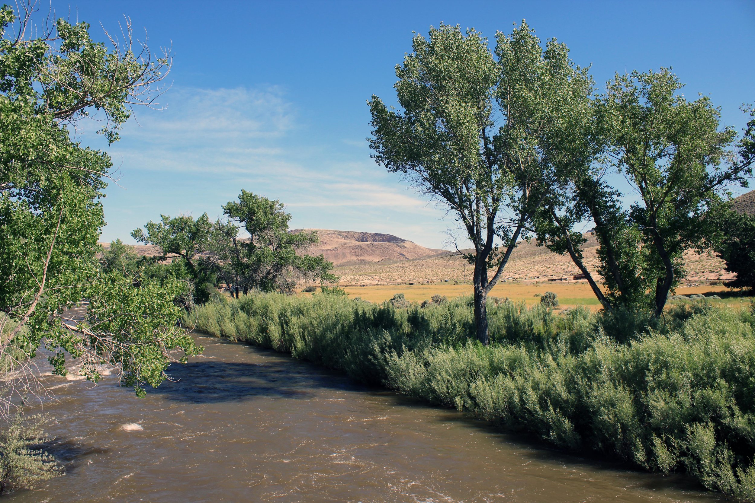 Ackerman Flying M2.jpg