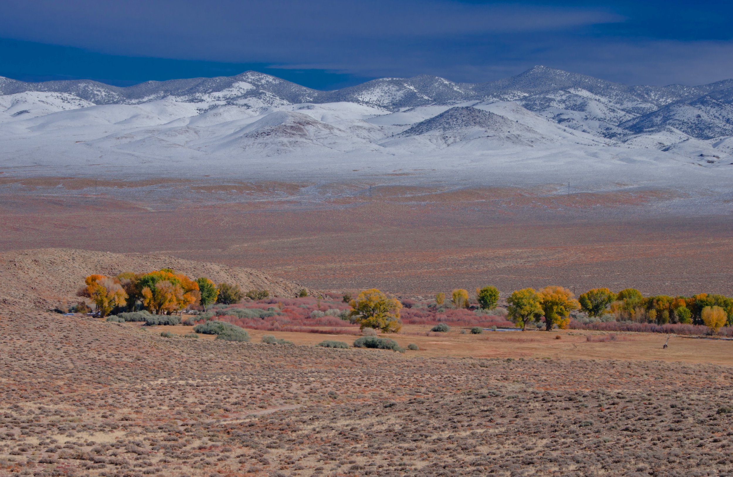 Rafter7_looking-east_WassukRange_J.Shedd.jpg