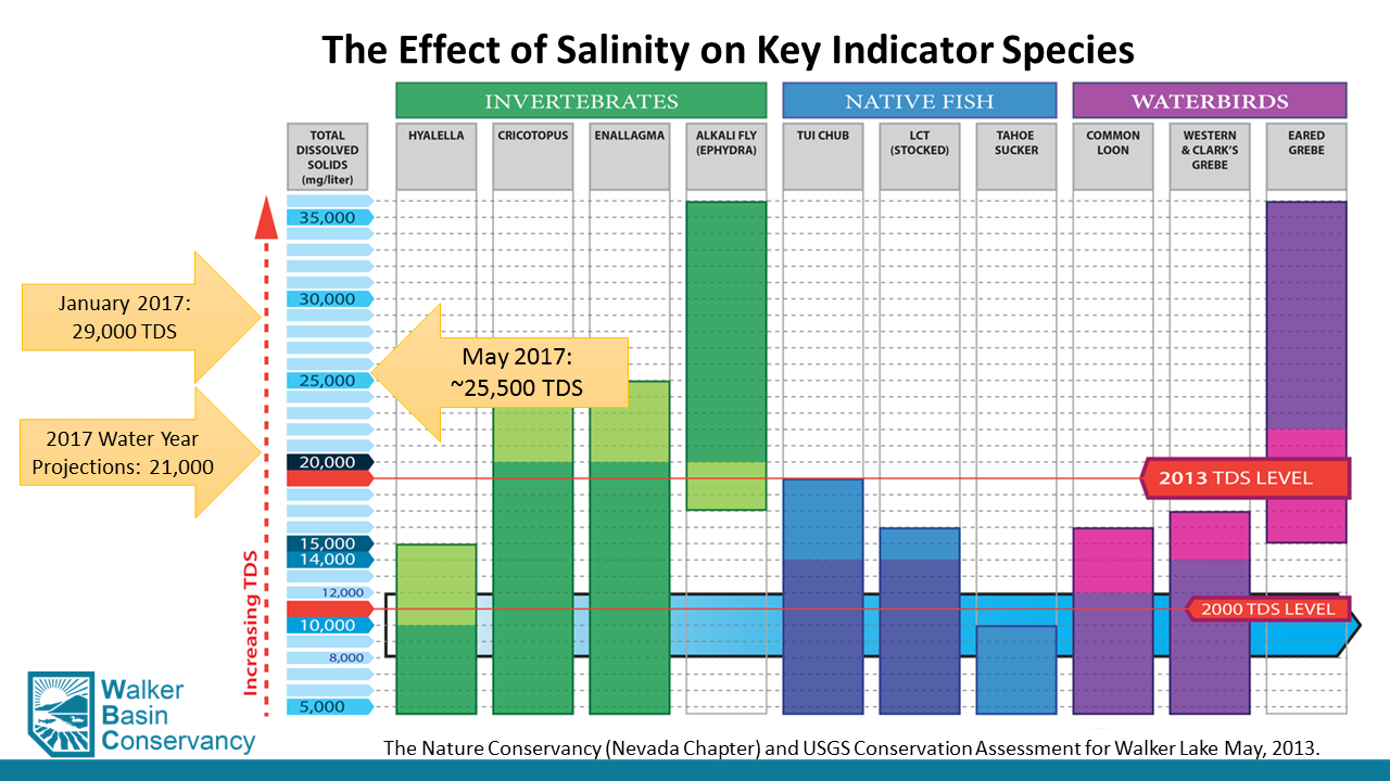 TDS-Indicator Species.png