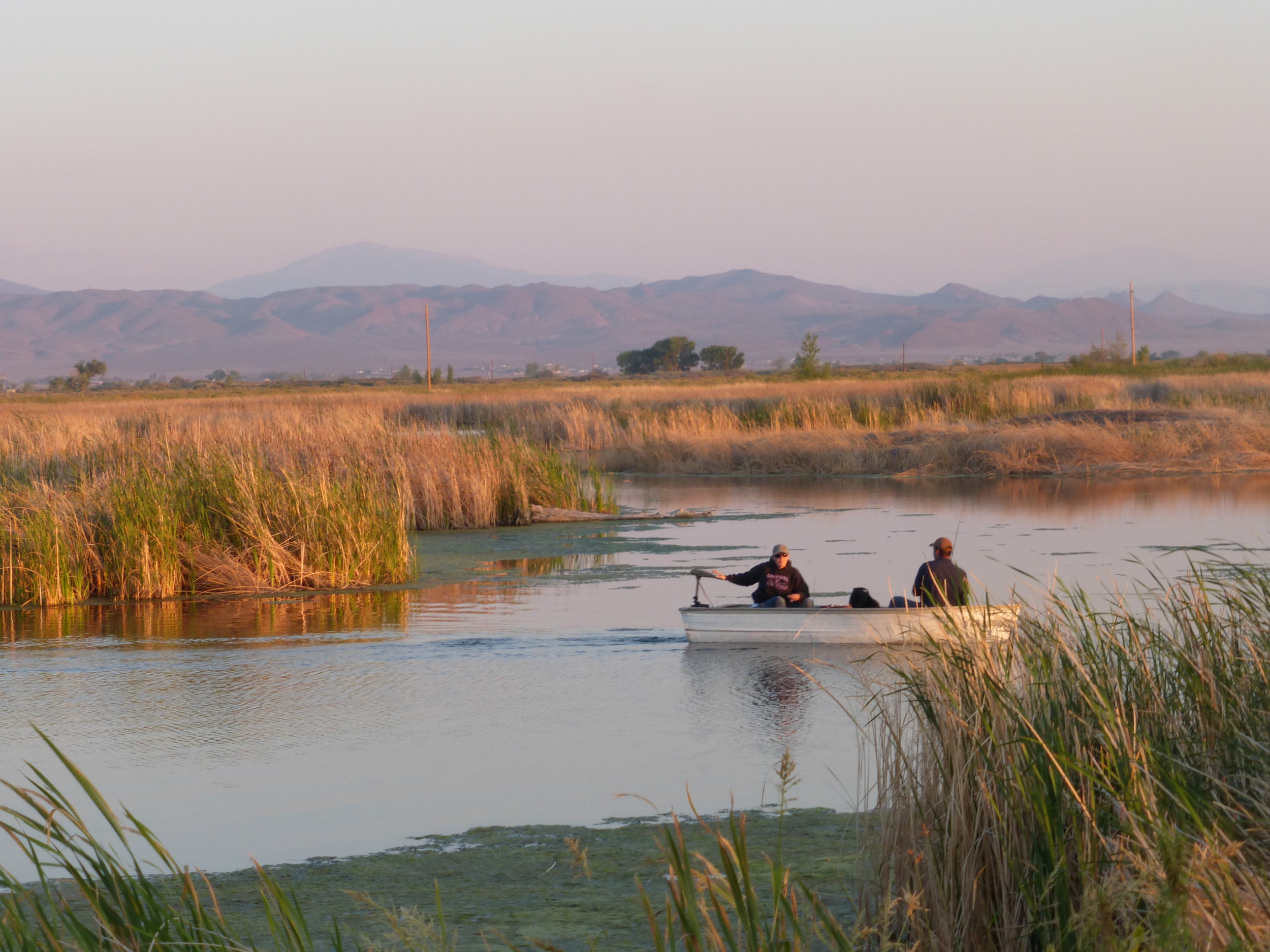 Walker Basin Conservancy