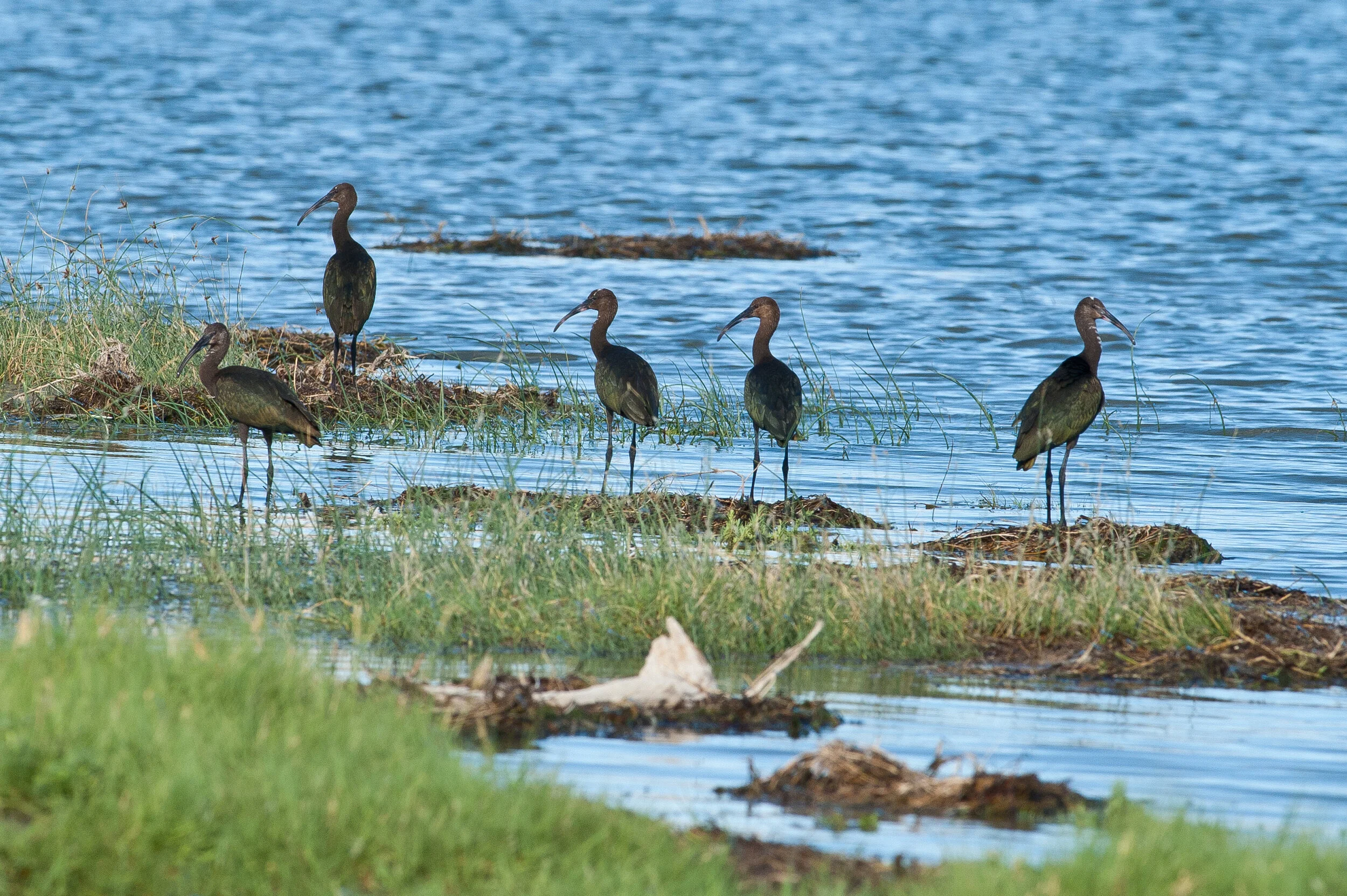 History of Walker Lake — Walker Basin Conservancy