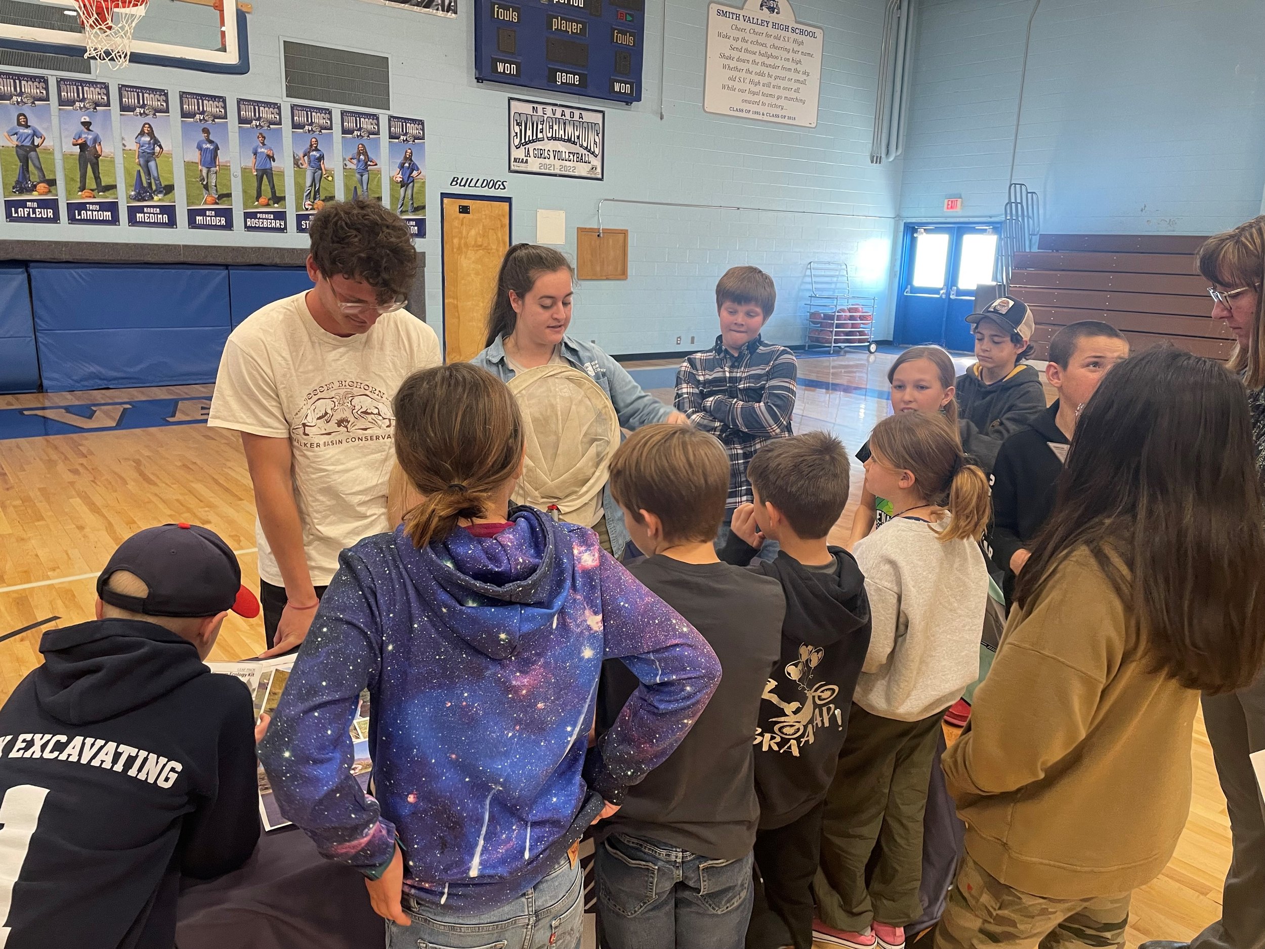 SV EE Pollinator 1.jpg