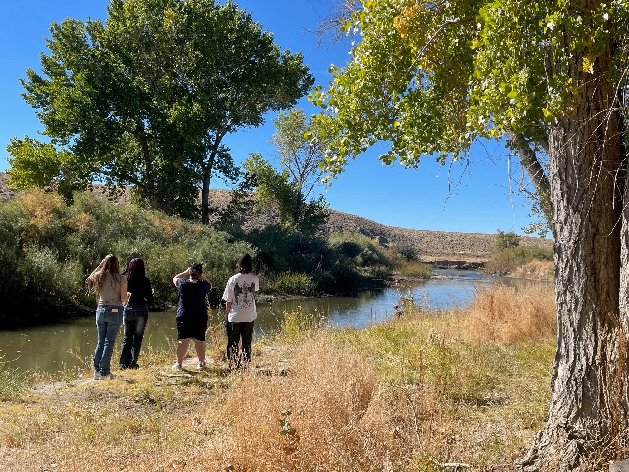 MC Field Trip 3 (1).jpg