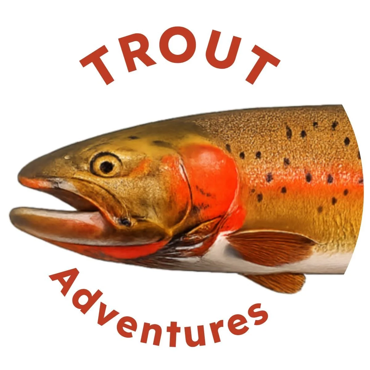 Trout Adventures.jpg
