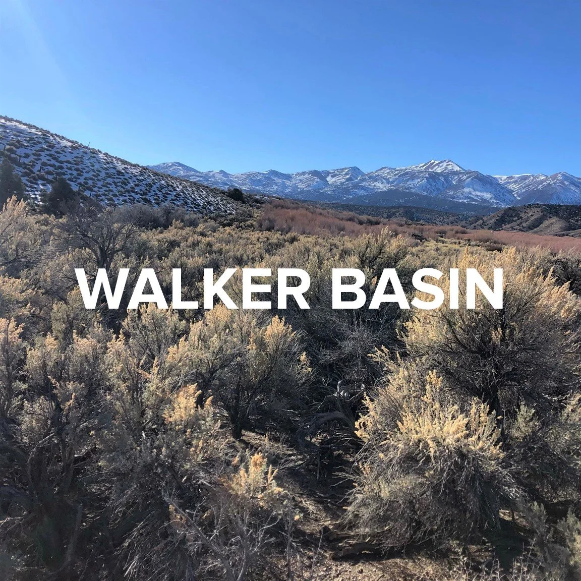 AmeriCorps Program — Walker Basin Conservancy