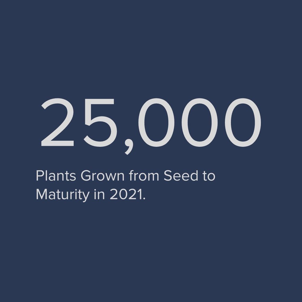 Nursery — Walker Basin Conservancy