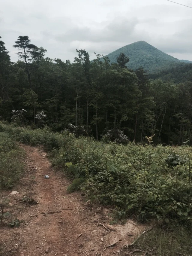 Looking ahead at our last climb of the day.