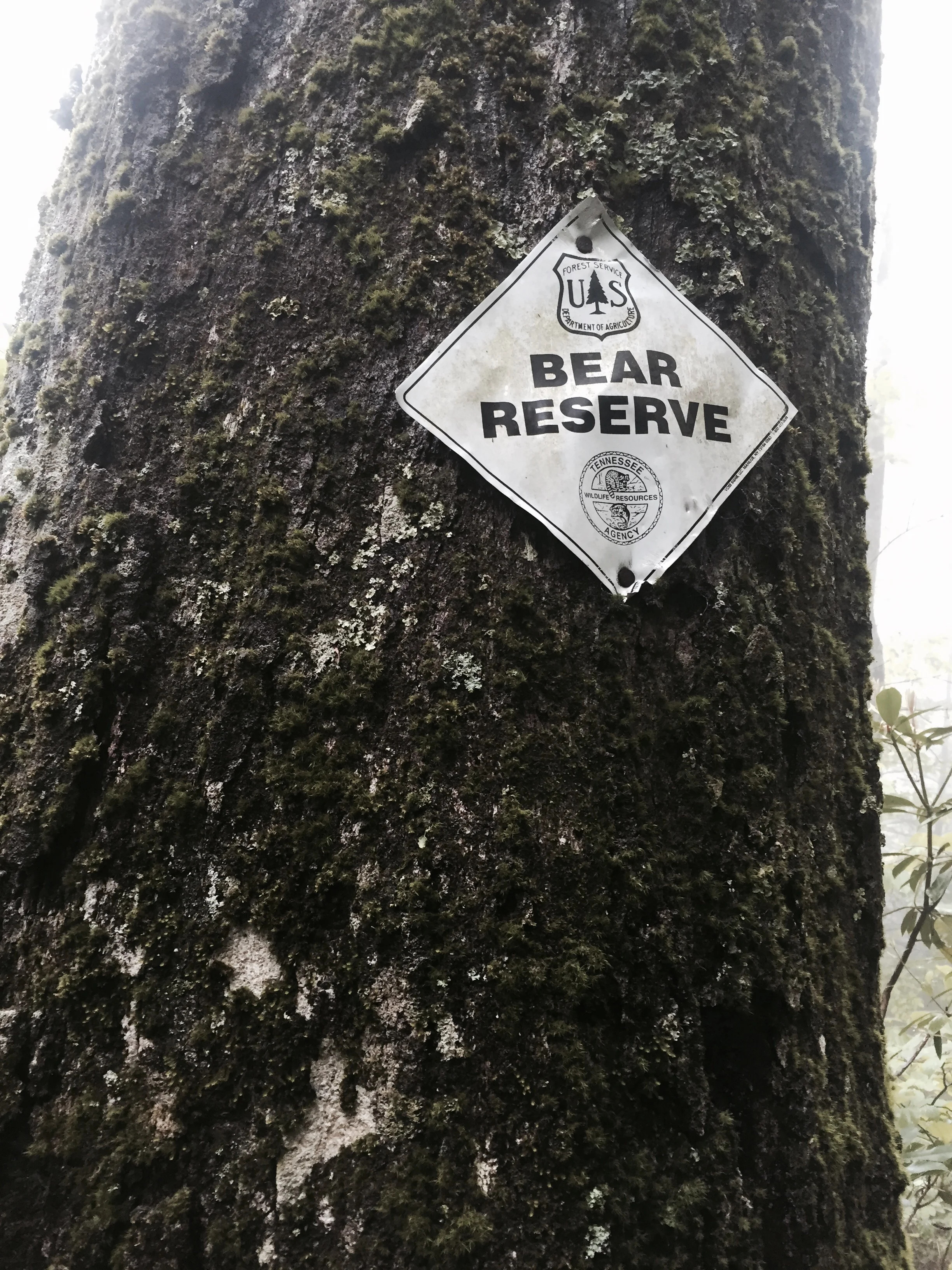 Always a comforting sign to see when you sleep with your food in your tent and you're not even half a mile from camp!